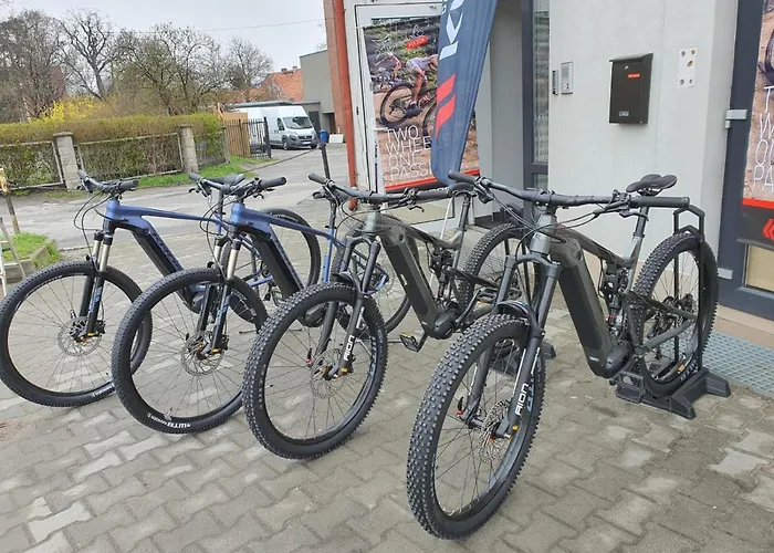 Apartament U Makosi *